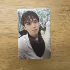 バーノン SECTOR17 トレカ