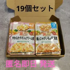 WAKODO　 離乳食　ベビーフード　19個セット クリーム煮・和風煮　和光堂