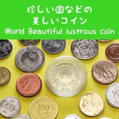 ワキゾン様 リクエスト 3点 まとめ商品