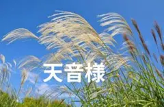 GLOBAL WORK撥水キルティングジャケット