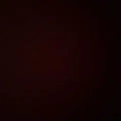 いいねは値上げ@プロフ確認 様専用