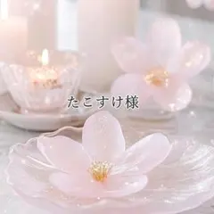 たこすけ様 リクエスト 3点 まとめ商品