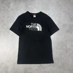 THE NORTH FACE グラデーションロゴ Tシャツ ブラック