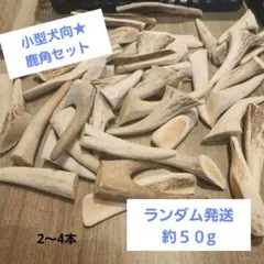 小型犬向け鹿角☆鹿角デビューやお試しに☆　写真から約50gランダム(４本前後)のサムネイル