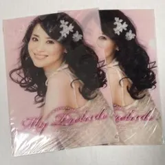 Item thumbnail for item fe5cea2c-c10c-4a21-b050-21e0b483e030