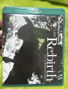 Acid Black Cherry 2010 Live Re:birth