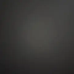 専用