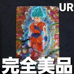 【匿名発送】 hgd2-17 孫悟空 UR