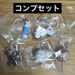 【コンプセット】ドラゴンボール めじるしアクセサリー4