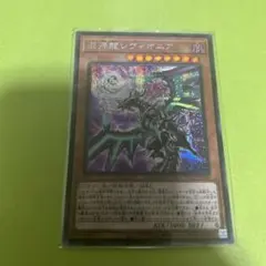 混源龍レヴィオニア シークレット