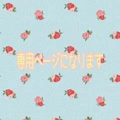 はなぷり様専用になります。