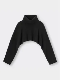 タートルネックさん