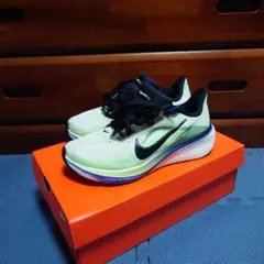 NIKE ズームペガサス42