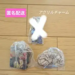 【新品】終末のワルキューレ アクリルチャーム　2点セット