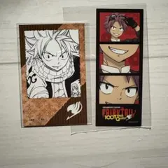 FAIRY TAIL フェアリーテイル ナツ セット