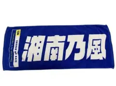 Item thumbnail for item 42b426d0-95ea-4176-929f-d0cb22c9f8b3