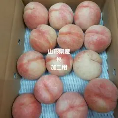 山形県産13加工用31日