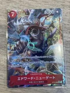 白ひげ デッキパーツ 全パラレル 白ひげ デッキパーツ 全パラレル Amazon.co.jp: ワンピース