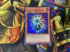 遊戯王　グローアップバルブ　中国簡体字版コレクターズ1枚