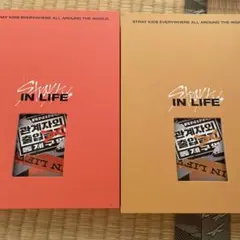 Stray Kids SKZ-PLAYER 2色セットin life