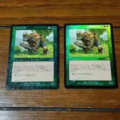 MTG 中国語 日本語 スカイシュラウドの切断獣 Foil 2枚セット - メルカリ