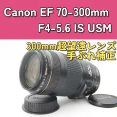 Item thumbnail for item ceff4df7-41b3-4e72-ad06-f74796073203