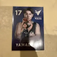 長崎ヴェルカ 山口選手 #17 カード入りスナック　カードのみ