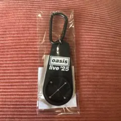 oasis ミュージシャン