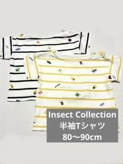 Insect Collection インセクトコレクション s 80 90のサムネイル