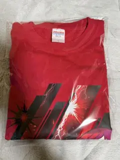 【非売品 激レア】描きおこしイラストTシャツ Ｌサイズ 鹿島沙希のサムネイル