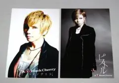 Acid Black Cherry シャングリラ ピストル ポストカードセット