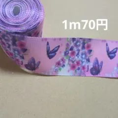 Item thumbnail for item 9c5c072d-dd3c-4632-bdfb-8485b6795351