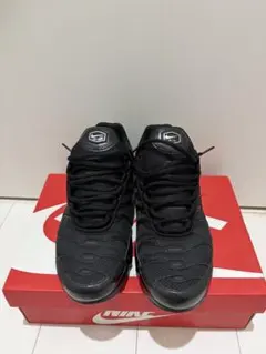 NIKE AIR MAX PLUS Triple Black