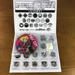 マリオカートワールドキャラマグネッツ　ピーチＢ