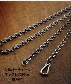 Item thumbnail for item 4f2d0053-d671-408d-9147-1f6306586863