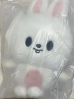 ヒョンジン ジニレット SKZOOプラッシュバックパック ファンミ