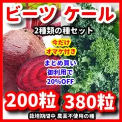 リンク＆りんく様 リクエスト 2点 まとめ商品