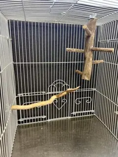 Item thumbnail for item 08a2db83-acd0-42b3-8b8c-8344377d9be1