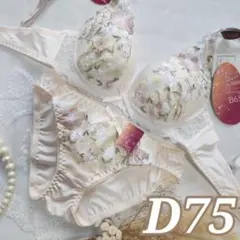 №1081【D75】ロマンスプティフラワーブラジャー&フルバックショーツ