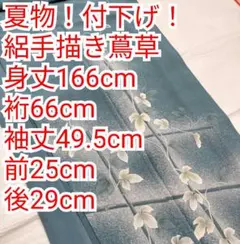 超美品 コーマ地 綿 本染 浴衣 夏物 154裄62 白 単色 菊 アンティーク