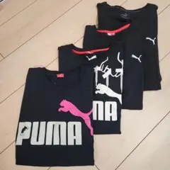 PUMA ロゴ Tシャツ ブラック　4枚セット