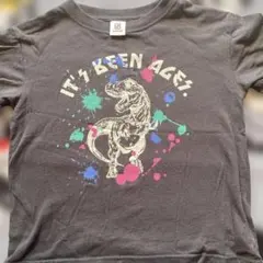 devirock Tシャツ 恐竜 IT'S BEEN AGES