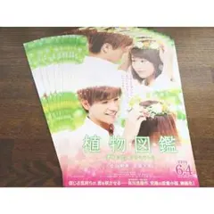 植物図鑑 High&LOW フライヤー