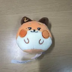 ZEROBASEONE zeroni テュニニ
