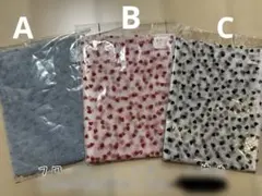 Item thumbnail for item 30c1f848-4285-42dc-beb4-8fdcbaad33db