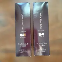 未使用　　ソワニティー　ヘアカラートリートメント ダークブラウン 210g