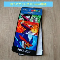ポケモン　ミニタオル　2枚組セット