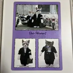 Item thumbnail for item 334bdcf1-2aa2-4df2-8d6b-19160309eda8