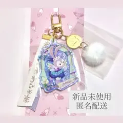 ステラルー キーチェーン 2025 ウィッシングウィングス