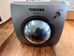 Item thumbnail for item 382996c1-d565-4db8-9561-c24037fbccca